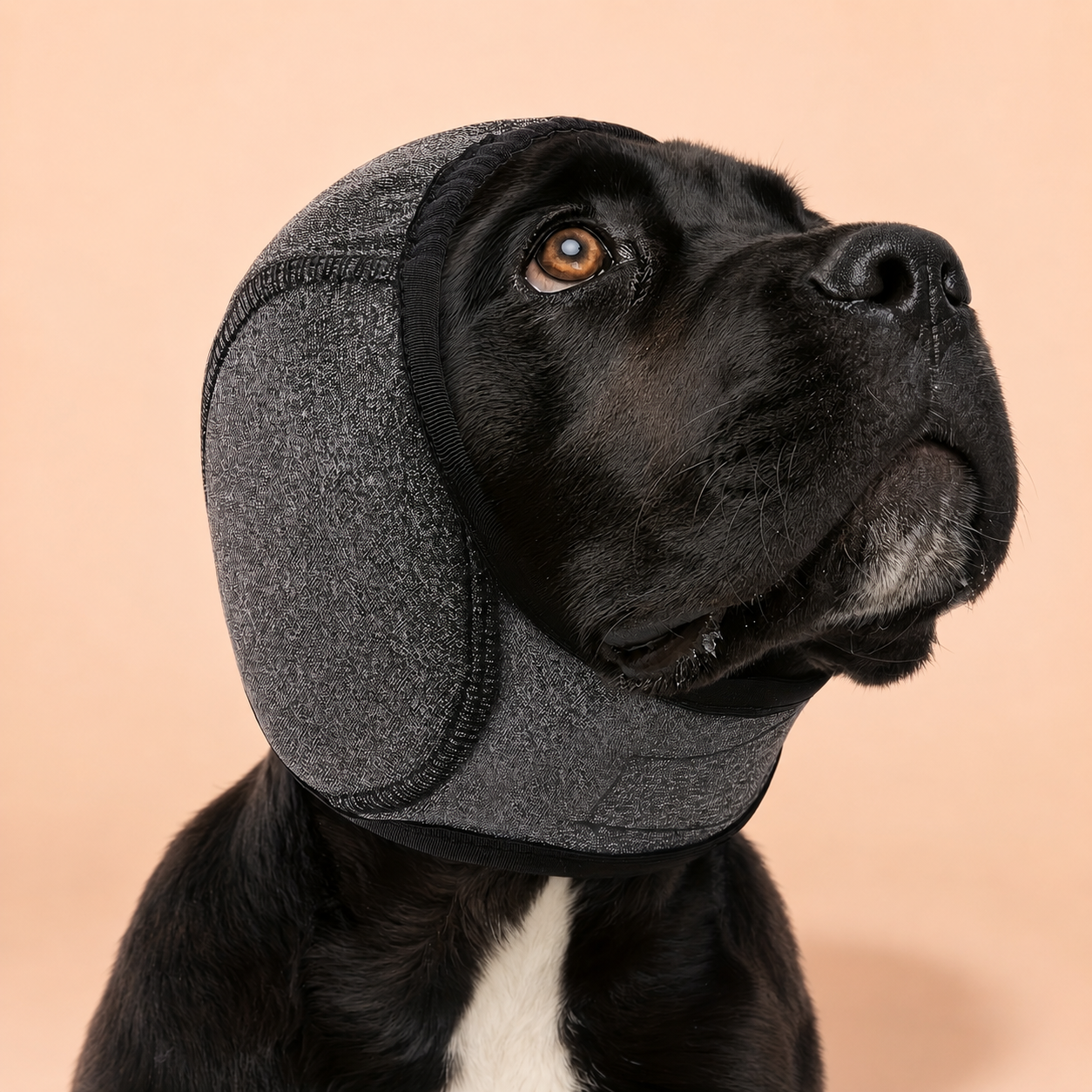 Adjustable Dog Earmuffs