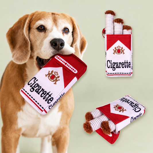 Squeaky Plush Dog Chew Toy