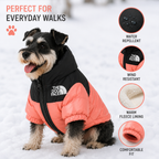 Winter Dog Jacket – Keep Your Pet Warm & Stylish