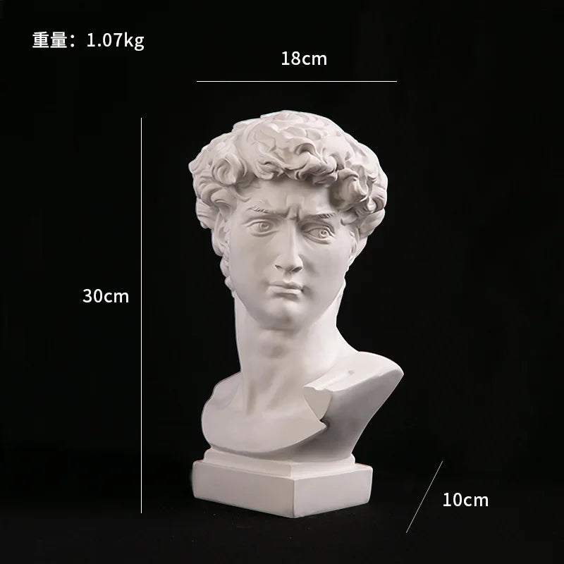 Modern David Bust Decor