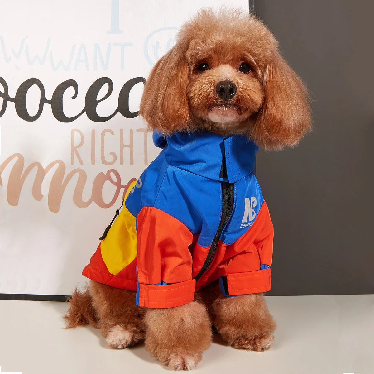 CozyPaw Waterproof Jacket