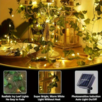 Glow Ivy Solar Lights – Outdoor & Indoor Fairy Light Decor