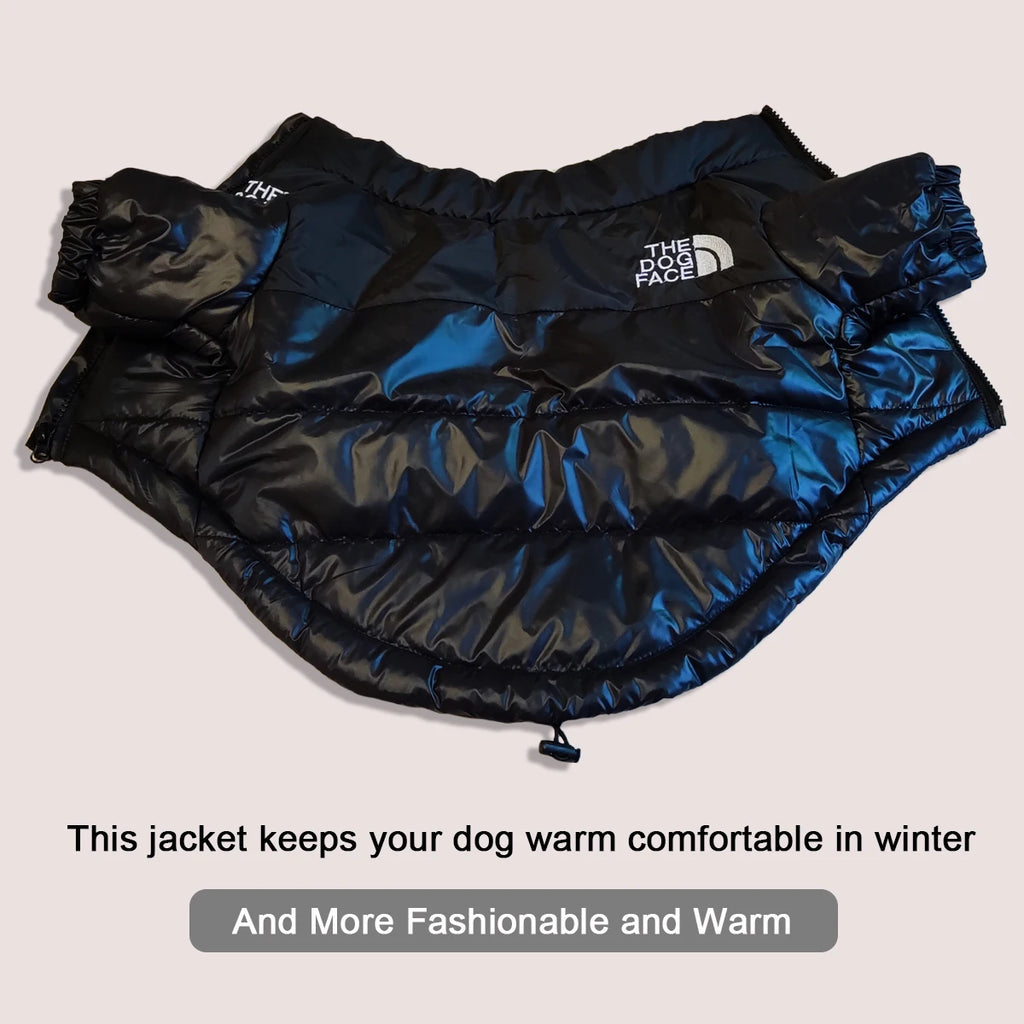 Winter Dog Jacket – Keep Your Pet Warm & Stylish